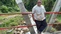 Anggota DPR Papua Ini, Dorong Pemda di Meepago Bangun PLTA
