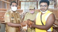 Peternak OAP Biak Terima Bantuan 400 Ekor Ayam Petelur