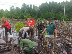 Kodim 1701/Jayapura Ikut Tanam 500 Mangrove di Teluk Youtefa