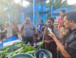 Kelompok Tani Hutan Mimika Keluhkan Penjualan Teh Mengrove, Mama Belinda: Kami Minta Pemerintah Bantu