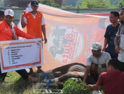 PKS Kota Jayapura Salurkan 800 Paket Daging Kurban