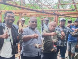 Kunjungi Karamba Kepiting Aifa Community Waropen, Yunus Wonda: Pemerintah Harus Bantu Ekonomi Rakyat