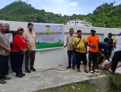 Kebersamaan dan Peduli Sesama, DPR Papua Sembelih 4 Hewan Kurban Idul Adha 1446 H