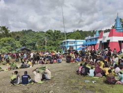 Tradisi Bakar Batu Warnai Awal Kepemimpinan Patinus Wanimbo di DPRK Mamberamo Raya