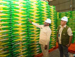 Tinjau Gudang Bulog, Gubernur Fakhiri Pastikan Stok Beras di Papua Aman Hingga Maret 2026