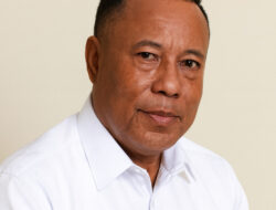 TP3C Dinilai Solusi Percepatan Tata Kelola dan Pembangunan Papua