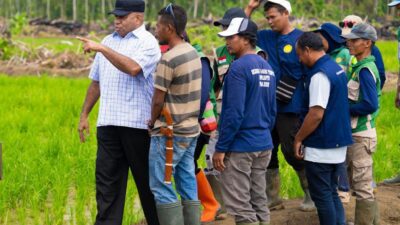 Gubernur Fakhiri Tinjau Cetak Sawah 13.200 Hektare di Arso Swakarsa, Targetkan Keerom Jadi Lumbung Pangan Papua