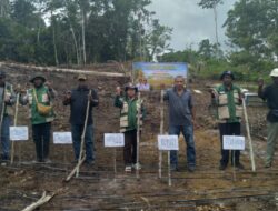 Pemkab Biak Numfor Dorong Swasembada Pangan, Kelompok Tani Diminta Terus Bertumbuh