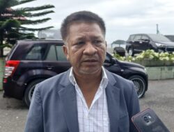 Industri Sawit di Papua Didorong, GAPKI: Perlu Perluasan Lahan dan Evaluasi Izin