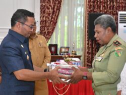 Inokson Jadi Simbol Perempuan Tangguh di Puncak Hari Kartini Biak Numfor