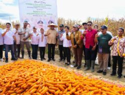 Panen 30 Ton Jagung di Keerom! Gubernur Fakhiri Sebut Papua Bisa Jadi Lumbung Pangan Nasional