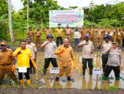 Gubernur Fakhiri Tanam Padi Perdana di Waropen, Dorong Cetak Sawah untuk Bangkitkan Ekonomi