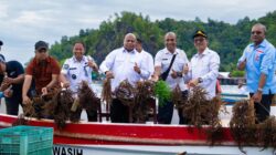 Gubernur Fakhiri Dorong Sentra Rumput Laut Yapen, Siapkan Pabrik hingga Pasar untuk Petani