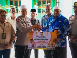 Gubernur Fakhiri Salurkan Sapi Kurban di Supiori, Pesankan Pentingnya Toleransi