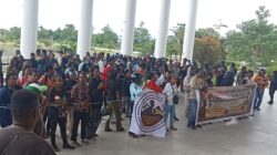 384 Berkas Dibawa ke Kantor Pemerintah, Pencaker Lokal Mimika: Jangan Jadikan Kami Penonton di Tanah Sendiri!