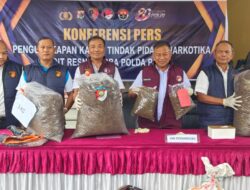 Semester I 2026, Polda Papua Ungkap 104 Kasus Narkoba dan Amankan 151 Tersangka