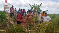 Masyarakat Adat Palang Lahan PSN Cetak Sawah di Sarmi, Minta Pemprov Papua dan Pemkab Segera Berdialog