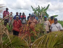 Masyarakat Adat Palang Lahan PSN Cetak Sawah di Sarmi, Minta Pemprov Papua dan Pemkab Segera Berdialog