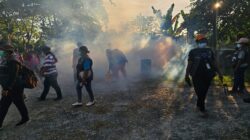Kasus DBD di Biak Numfor Tembus 128 Kasus, Fogging Digencarkan