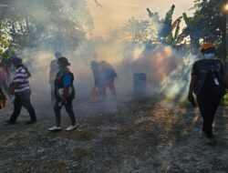 Kasus DBD di Biak Numfor Tembus 128 Kasus, Fogging Digencarkan