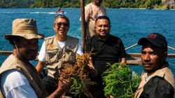 Hadiri Festival Teluk Mioka 2026, Ketua DPR Papua Dorong Pengembangan Rumput Laut Sarawandori Kepulauan Yapen
