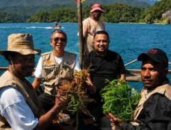 Hadiri Festival Teluk Mioka 2026, Ketua DPR Papua Dorong Pengembangan Rumput Laut Sarawandori Kepulauan Yapen